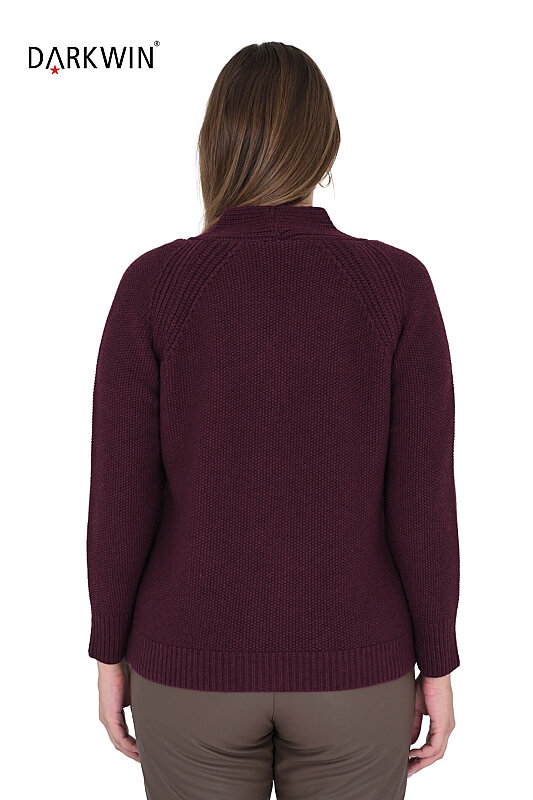 B5788 DARKWIN HIRKA BORDO - 3